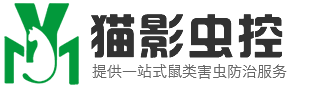 南通灭老鼠_南通灭蟑螂_南通灭白蚁_南通杀虫公司_南通除四害_南通猫影环保科技有限公司