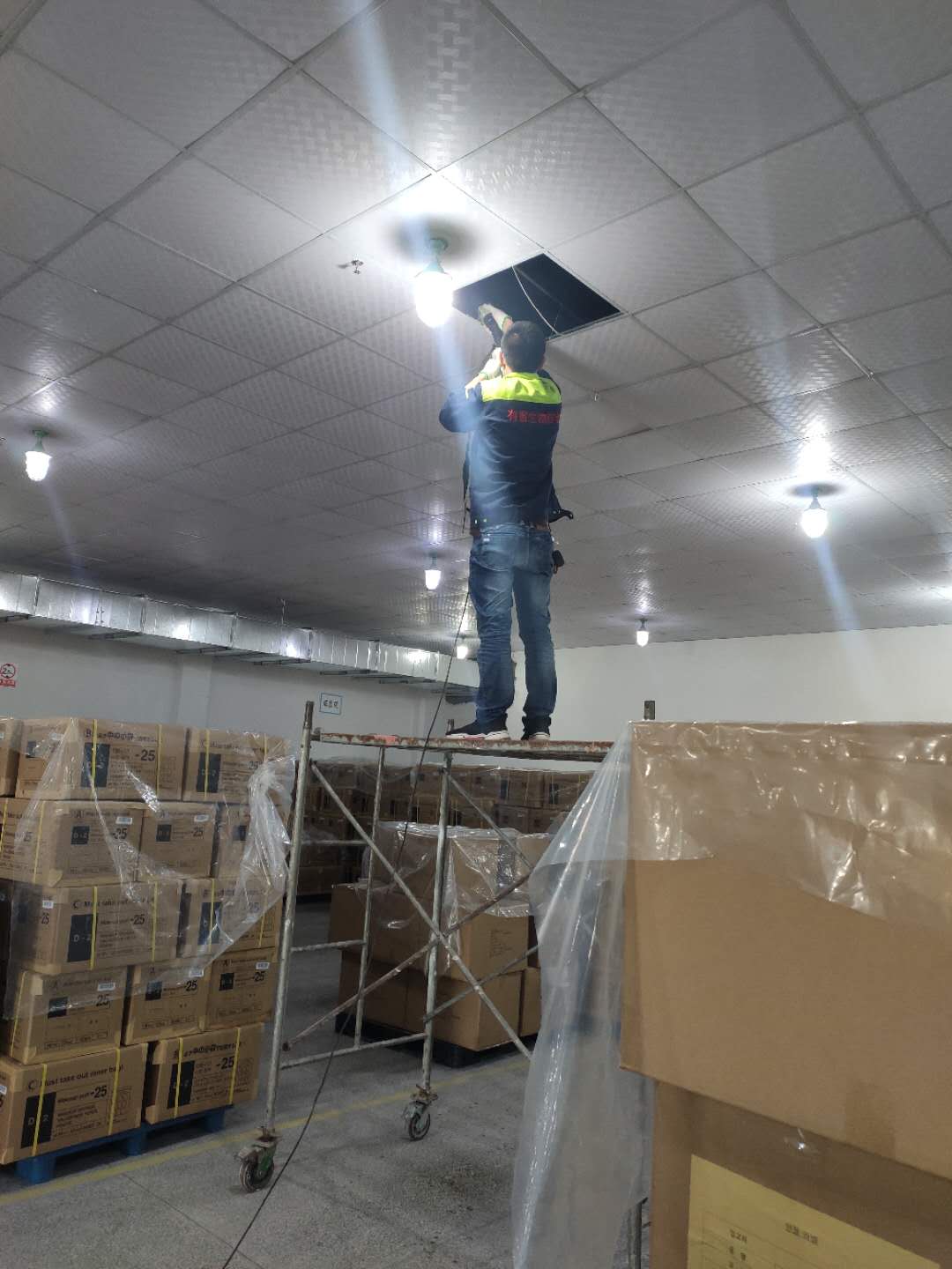 工厂杀虫灭鼠案例