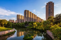小区虫鼠防治
