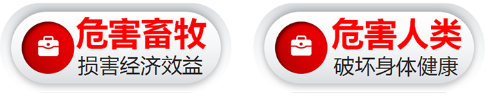 灭跳蚤