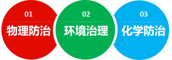 灭跳蚤