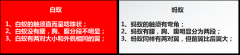 灭白蚁